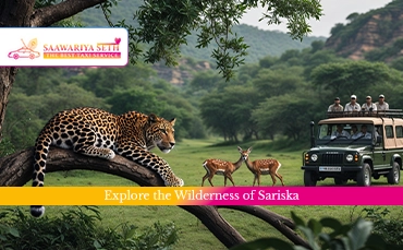 Sariska Tour - Wildlife Safari & Nature Retreat